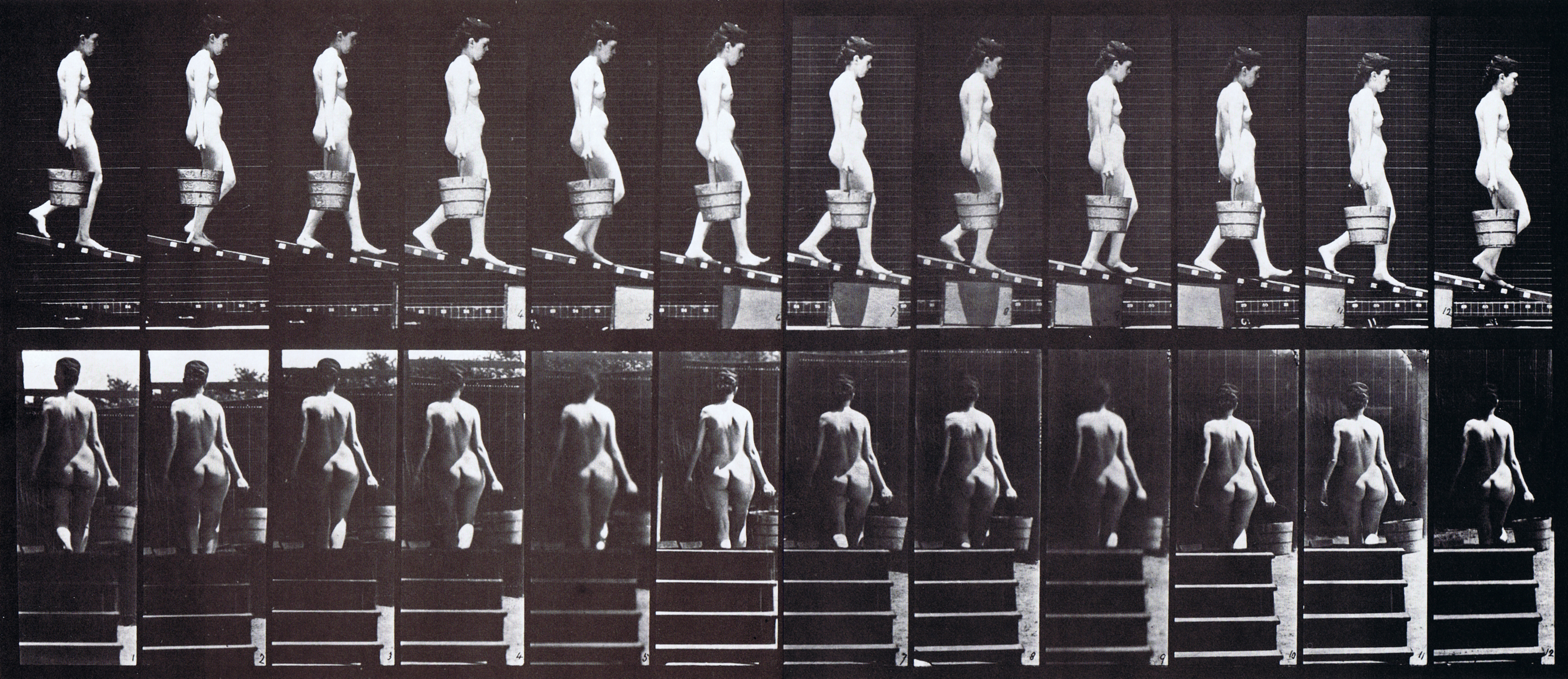 large profile and rear views of looping nude female descending incline with a bucket in right hand animation reference using muybridge plate 120 from animal locomotion