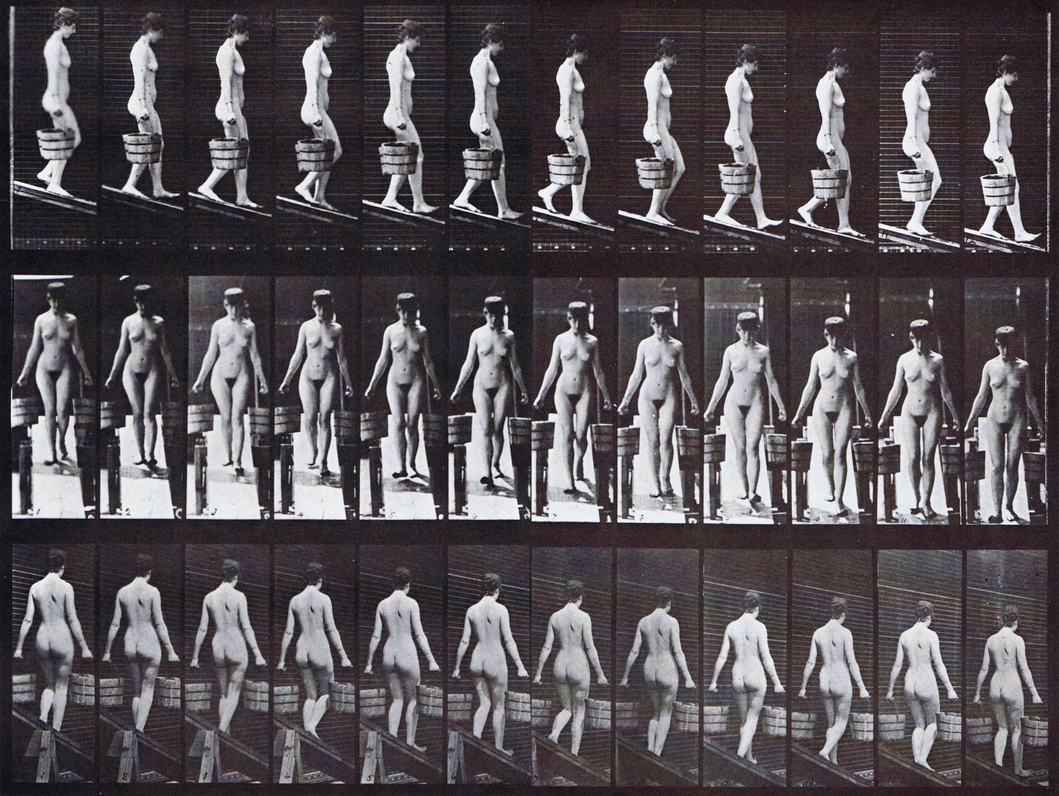 large profile, front, and rear three-quarter views irregular looping nude female descending incline carrying a bucket of water in each hand animation reference using muybridge plate 122 from animal locomotion