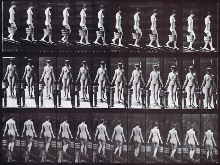 Profile, front, and rear three-quarter views irregular looping nude female descending incline carrying a bucket of water in each hand animation reference using muybridge plate 122 from animal locomotion