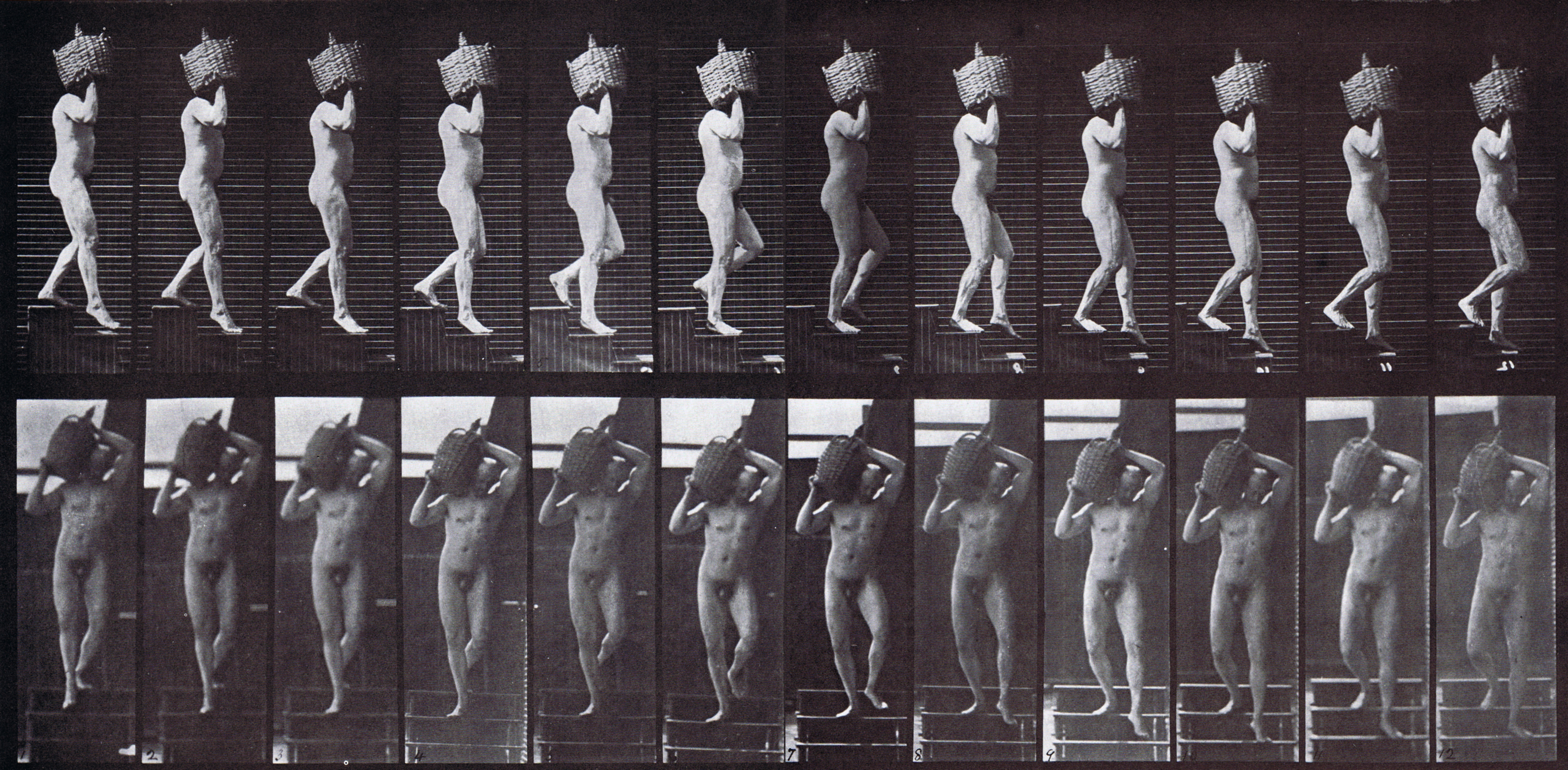 large profile and front views of nude male descending stairs with full demijohn on shoulder animation reference using muybridge plate 136 from animal locomotion