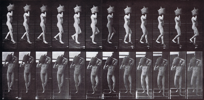 Profile and front views of nude male descending stairs with full demijohn on shoulder animation reference using muybridge plate 136 from animal locomotion