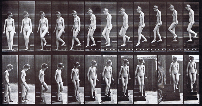 Profile and front views of nude female descending stairs and turning around animation reference using muybridge plate 137 from animal locomotion