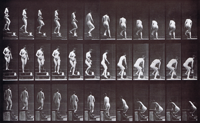 Profile, front three-quarter, and rear three-quarter views of nude female descending stairs and stooping to pick up a pitcher animation reference using muybridge plate 149 from animal locomotion