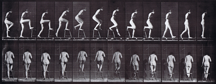 Profile and rear views of nude female stepping on and then over a chair animation reference using muybridge plate 180 from animal locomotion