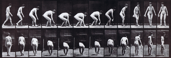 Profile and rear views of nude female stooping and lifting a handkerchief then turning animation reference using muybridge plate 220 from animal locomotion