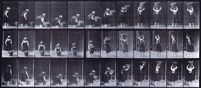Profile, front three-quarter, and rear three-quarter views of clothed female stooping and lifting a 30 pound basket from the ground and placing it on head then turning animation reference using muybridge plate 230 from animal locomotion