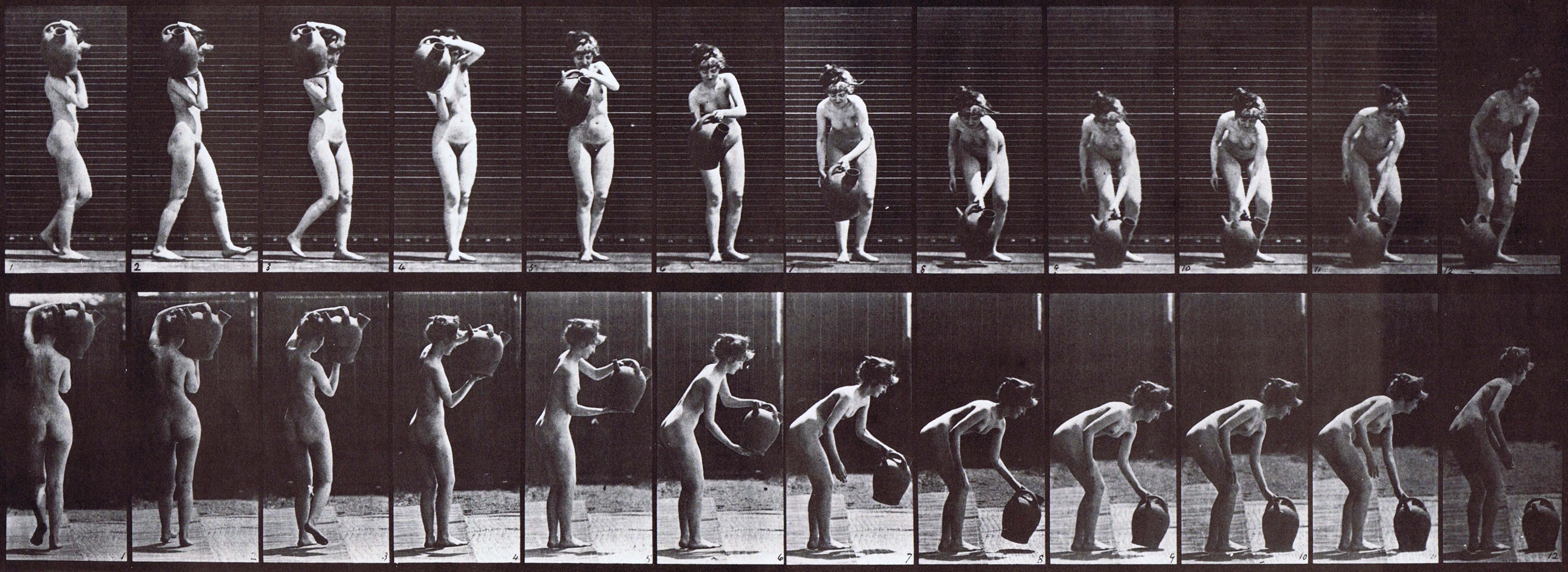 large profile and rear views of nude female turning and placing a water jar on the ground from shoulder animation reference using muybridge plate 235 from animal locomotion