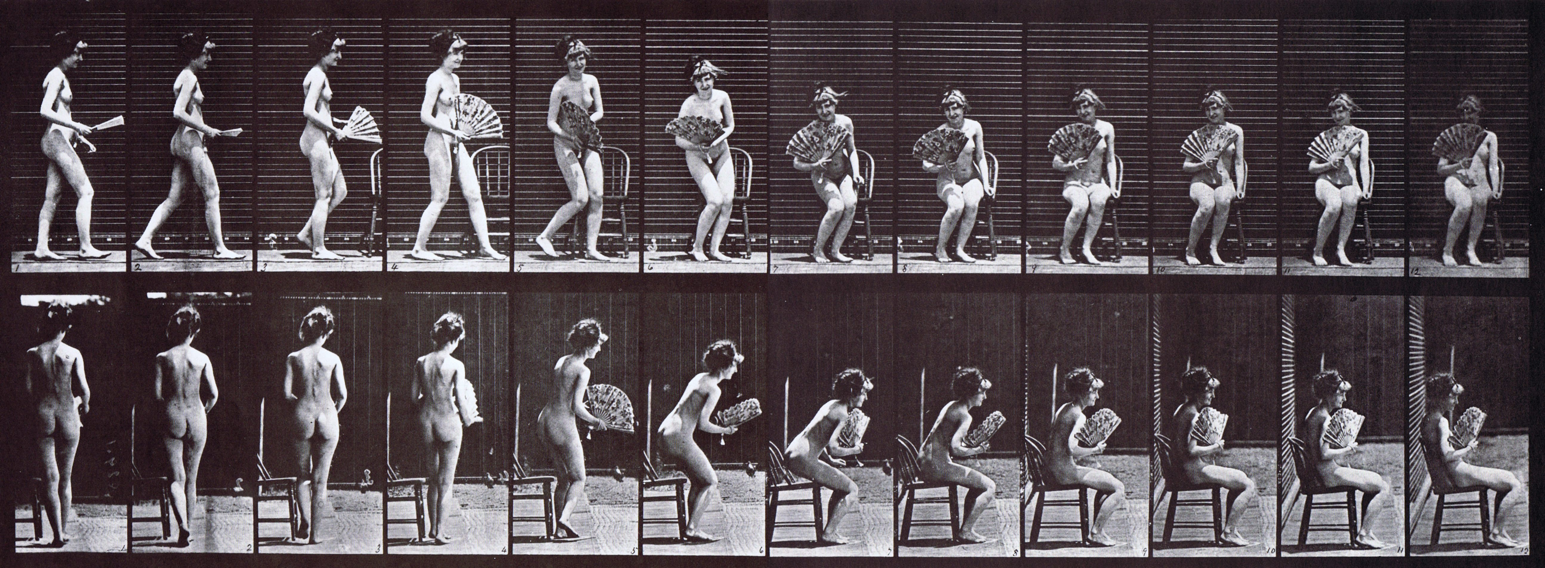large profile and rear views nude female walking then sitting in a chair, opening a fan animation reference using muybridge plate 237 from animal locomotion