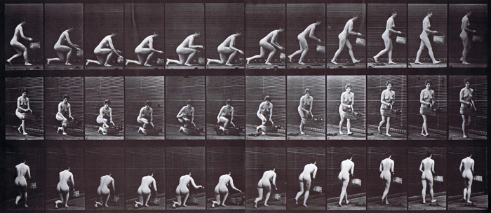 Profile, front three-quarter, and rear three-quarter views of looping nude female kneeling on left knee and basket on left hand then rising animation reference using muybridge plate 251 from animal locomotion