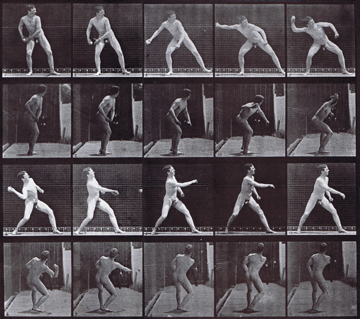 Profile and rear views of nude male throwing a baseball, pitching animation reference using muybridge plate 273 from animal locomotion
