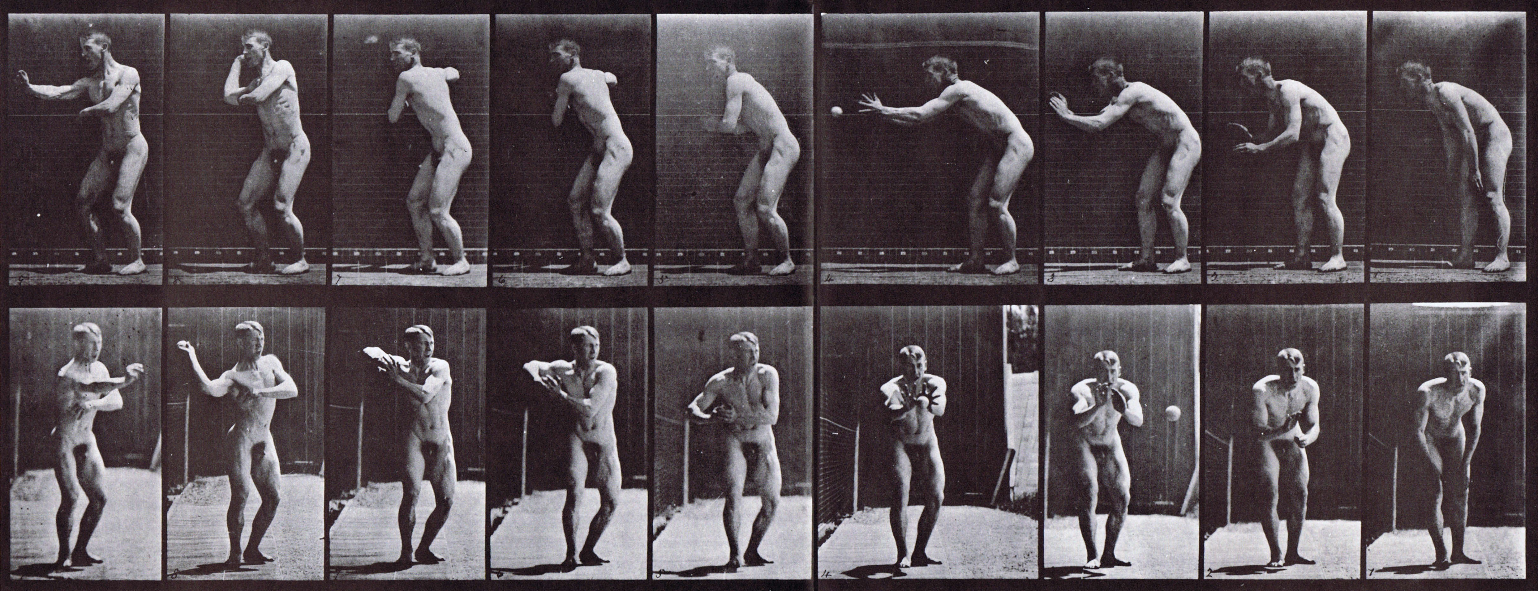 large profile and front views of nude male catching then throwing a baseball animation reference using muybridge plate 281 from animal locomotion