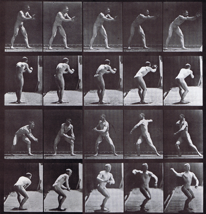 Profile and rear views of nude male catching and throwing a baseball animation reference using muybridge plate 282 from animal locomotion
