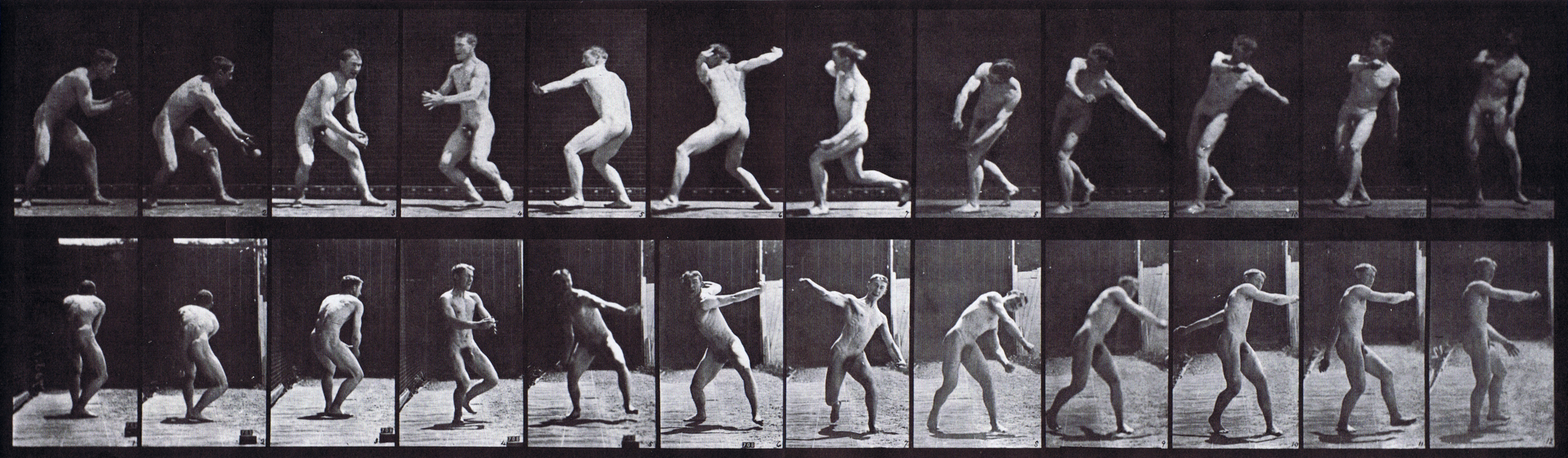 large profile and rear views of nude male catching a baseball turning then throwing animation reference using muybridge plate 284 from animal locomotion