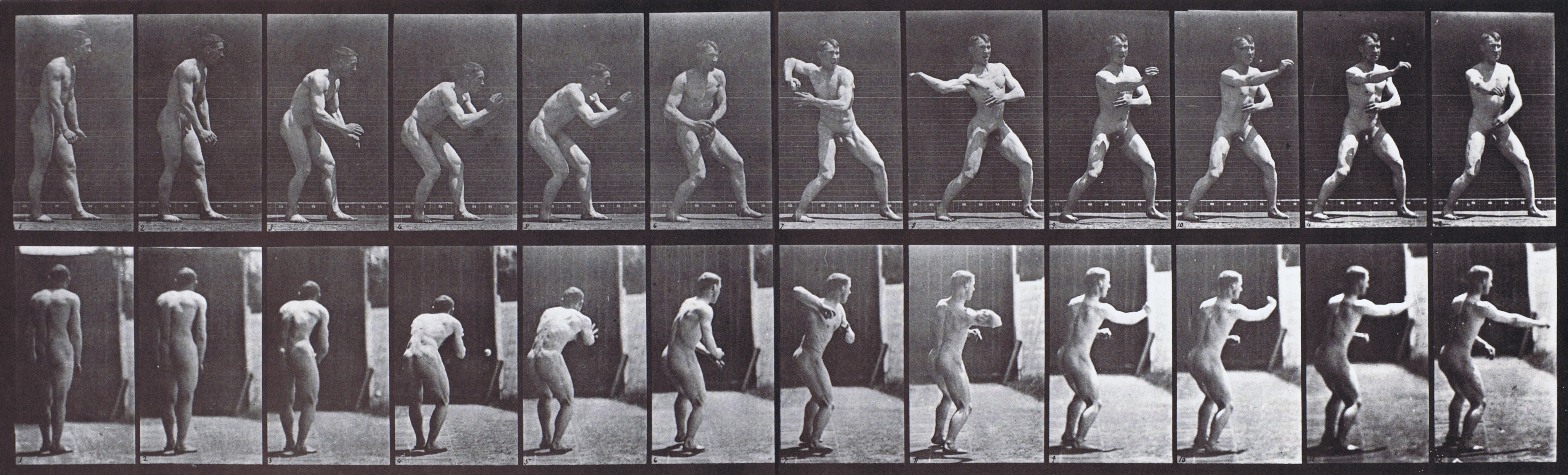 large profile and rear views of nude male catching and throwing a baseball animation reference using muybridge plate 285 from animal locomotion