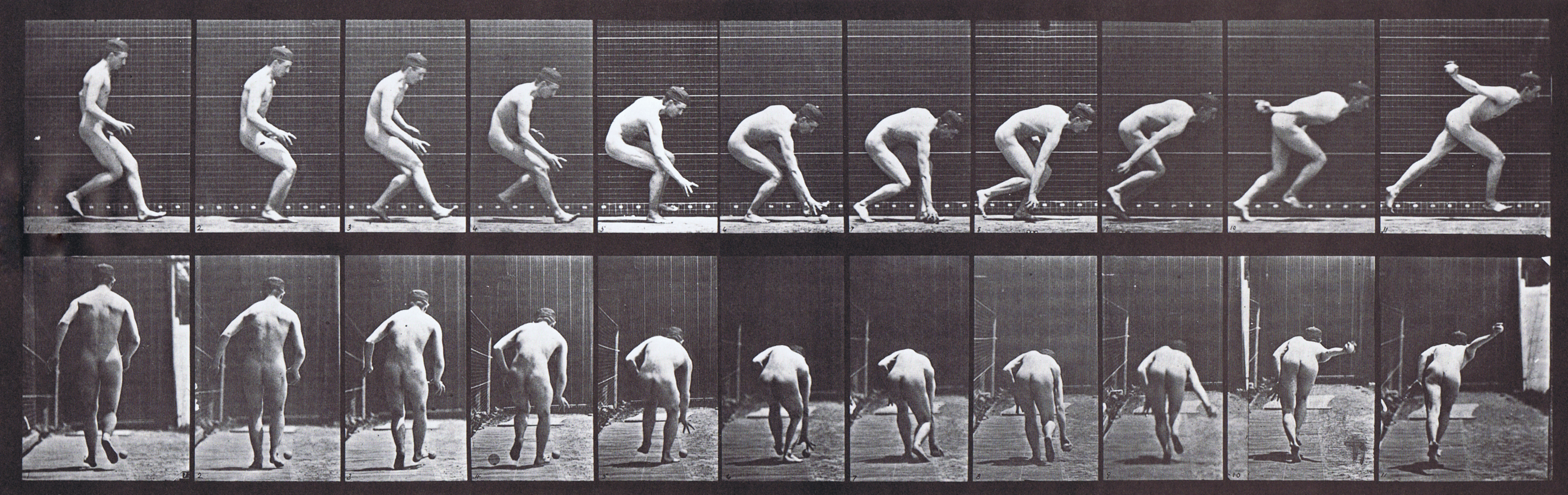 large profile and rear views of nude male running and picking up a baseball animation reference using muybridge plate 287 from animal locomotion