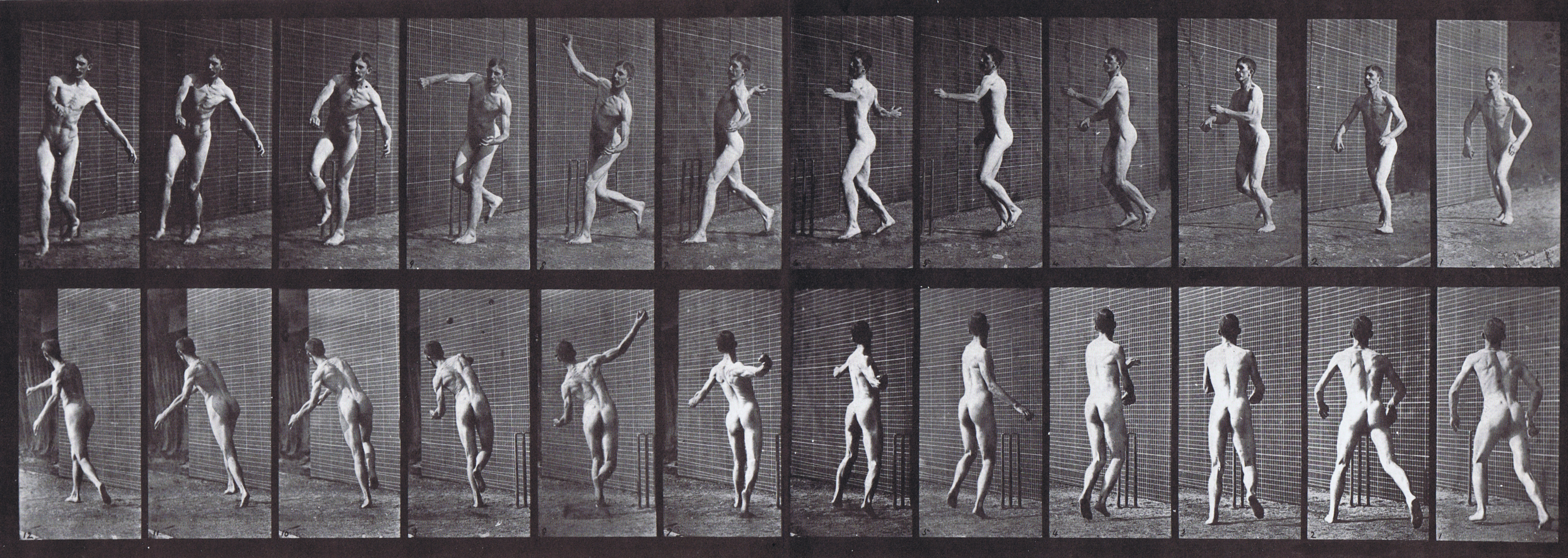 large front three-quarter and rear three-quarter views of nude male throwing overam bowling, cricket pitch animation reference using muybridge plate 290 from animal locomotion