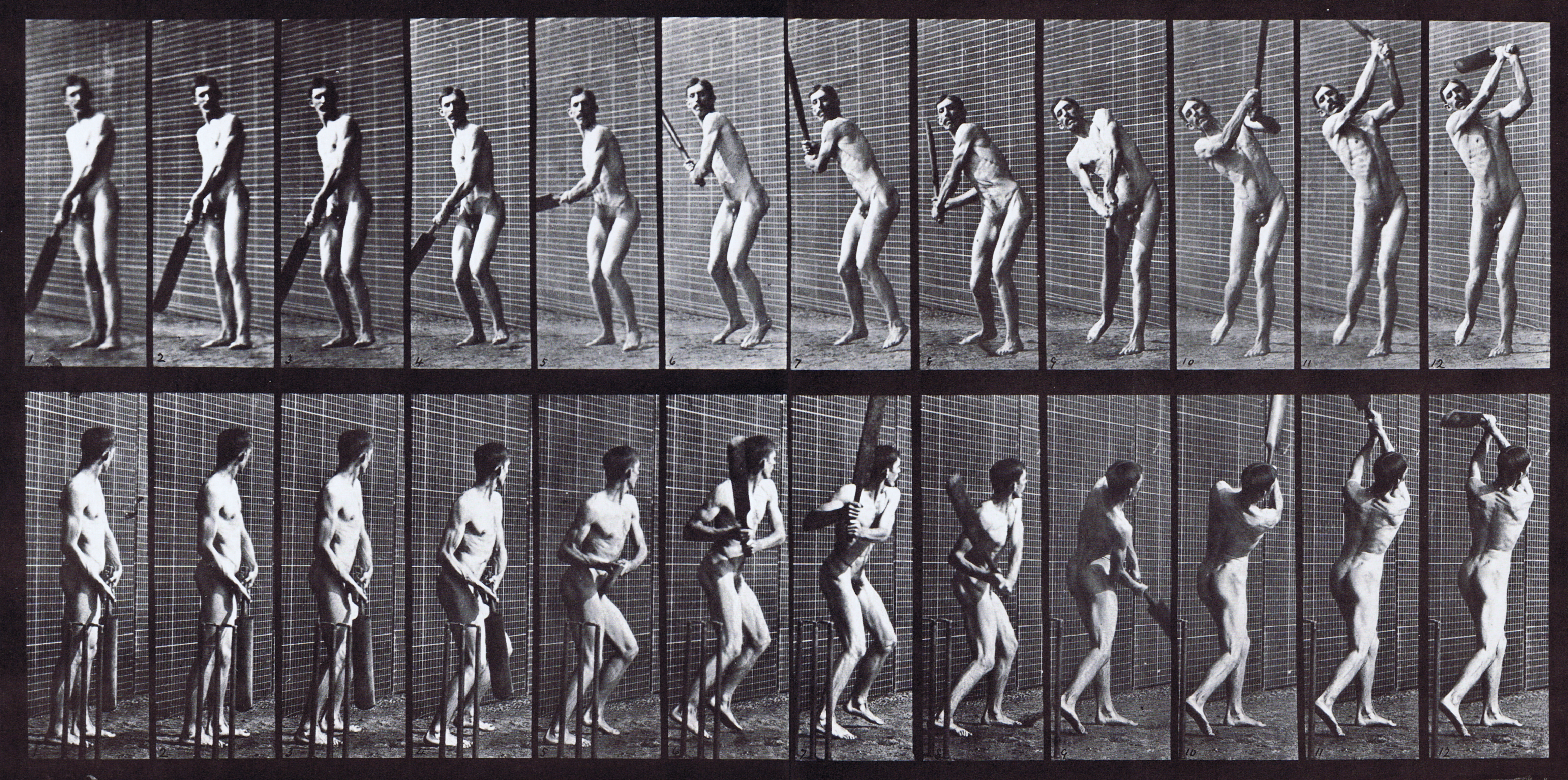 large front three-quarter and rear three-quarter views of nude male swinging a cricket bat, batting drive animation reference using muybridge plate 291 from animal locomotion