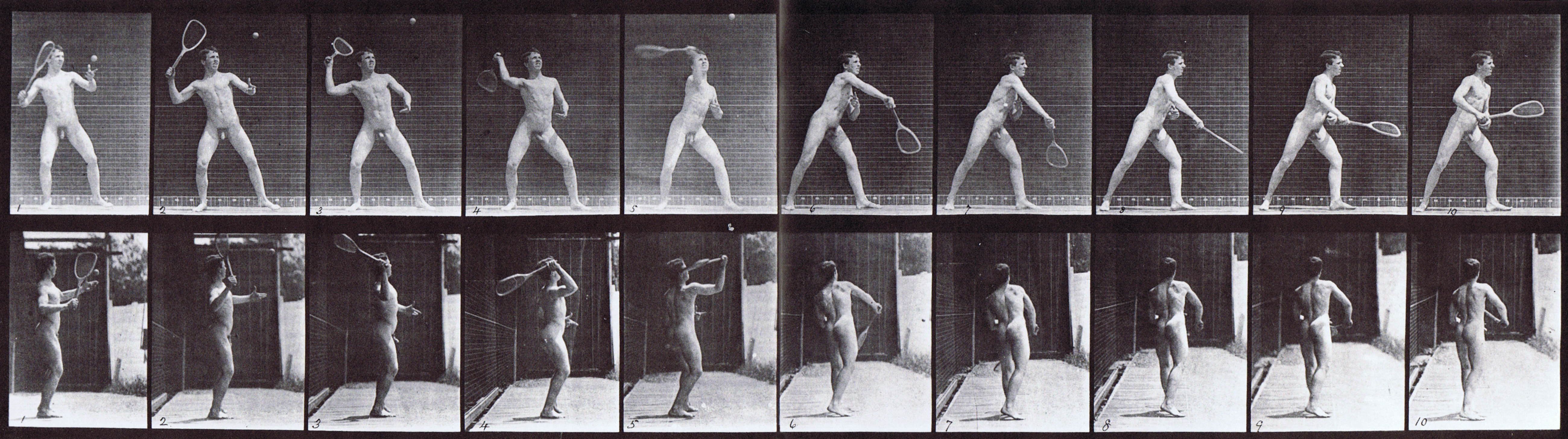 large profile and rear views of nude male swinging a tennis racket over head, serving animation reference using muybridge plate 294 from animal locomotion