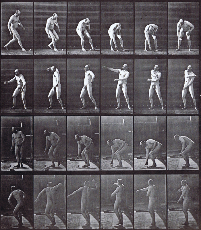 Profile and front views of nude male picking up a ball then throwing animation reference using muybridge plate 302 from animal locomotion
