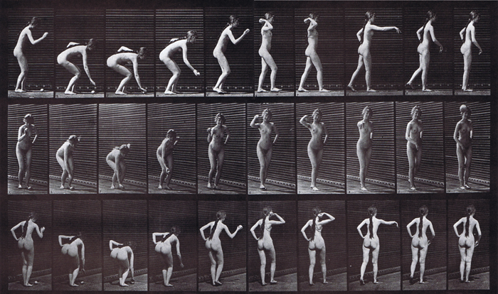 Profile, front three-quarter, and rear three-quarter views of nude female picking up a ball and throwing it animation reference using muybridge plate 304 from animal locomotion