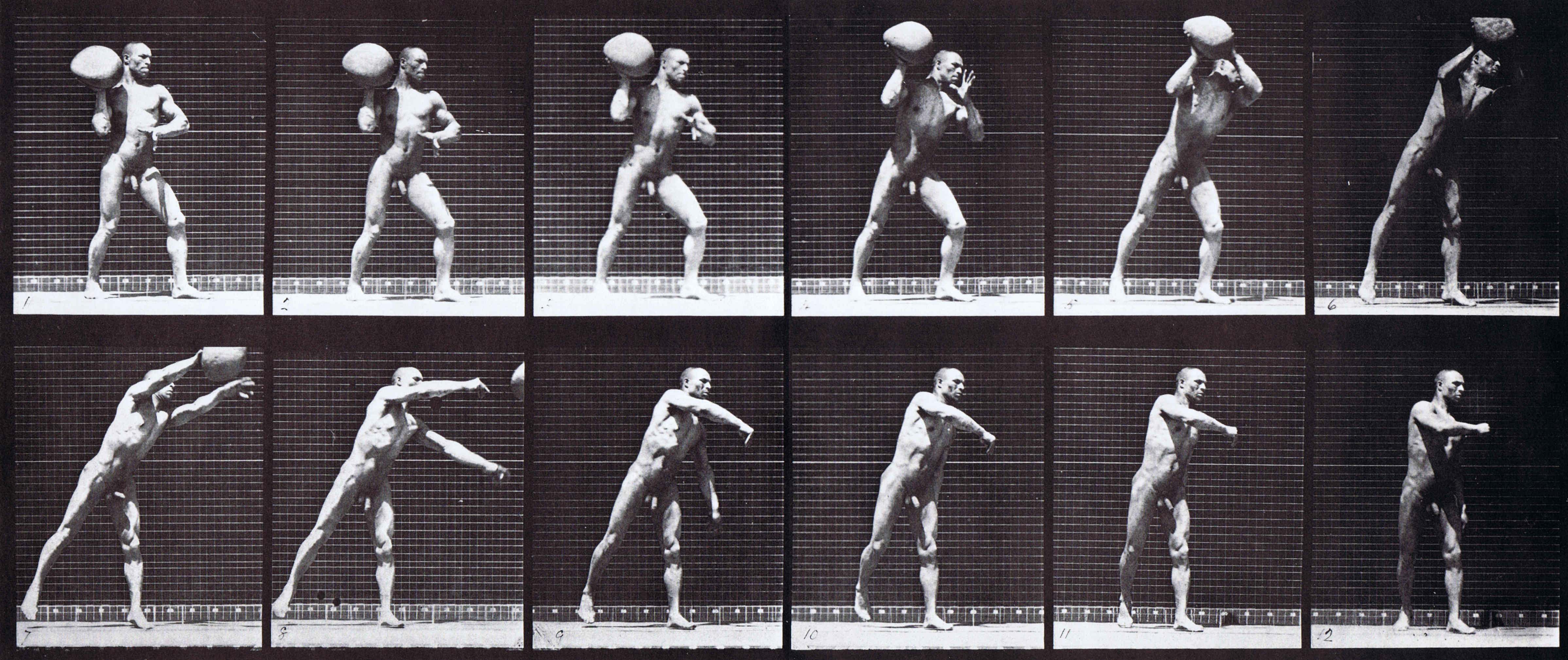 large profile view of nude male heaving a 75lb rock animation reference using muybridge plate 311 from animal locomotion