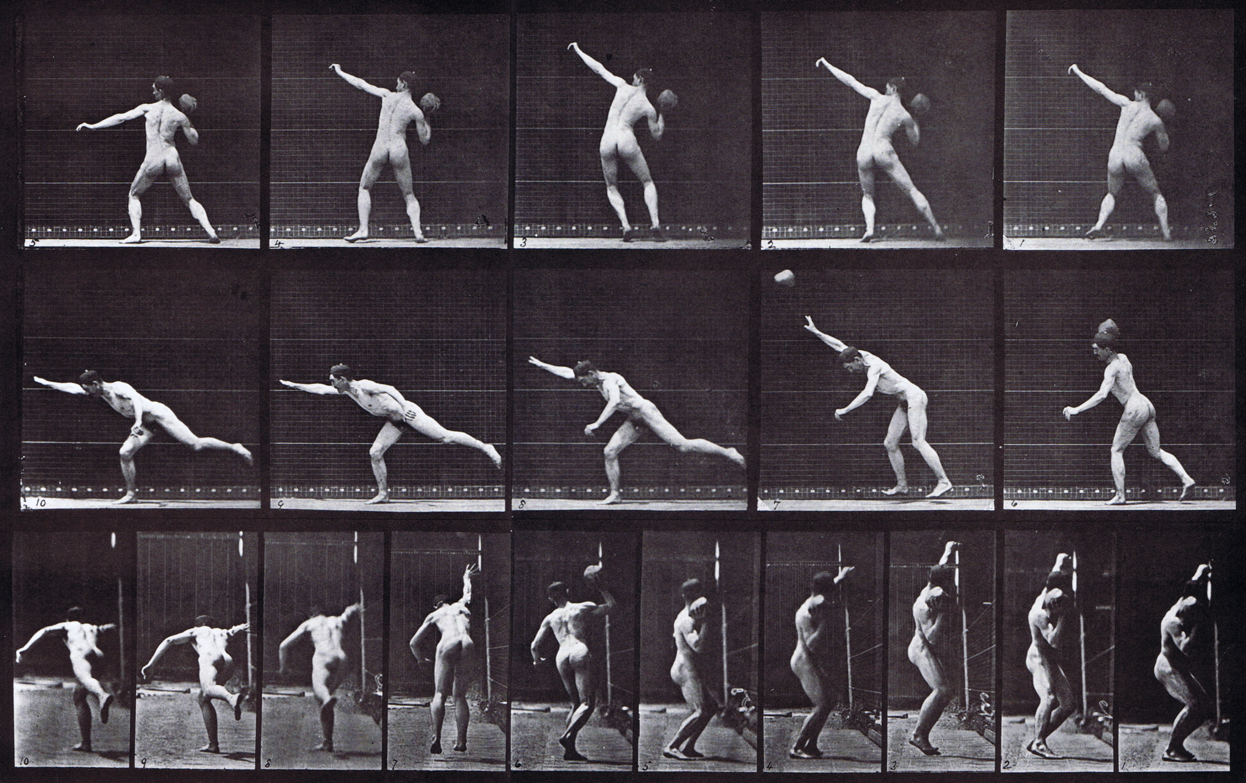 large profile and rear views of nude male heaving a 20 pound rock animation reference using muybridge plate 313 from animal locomotion