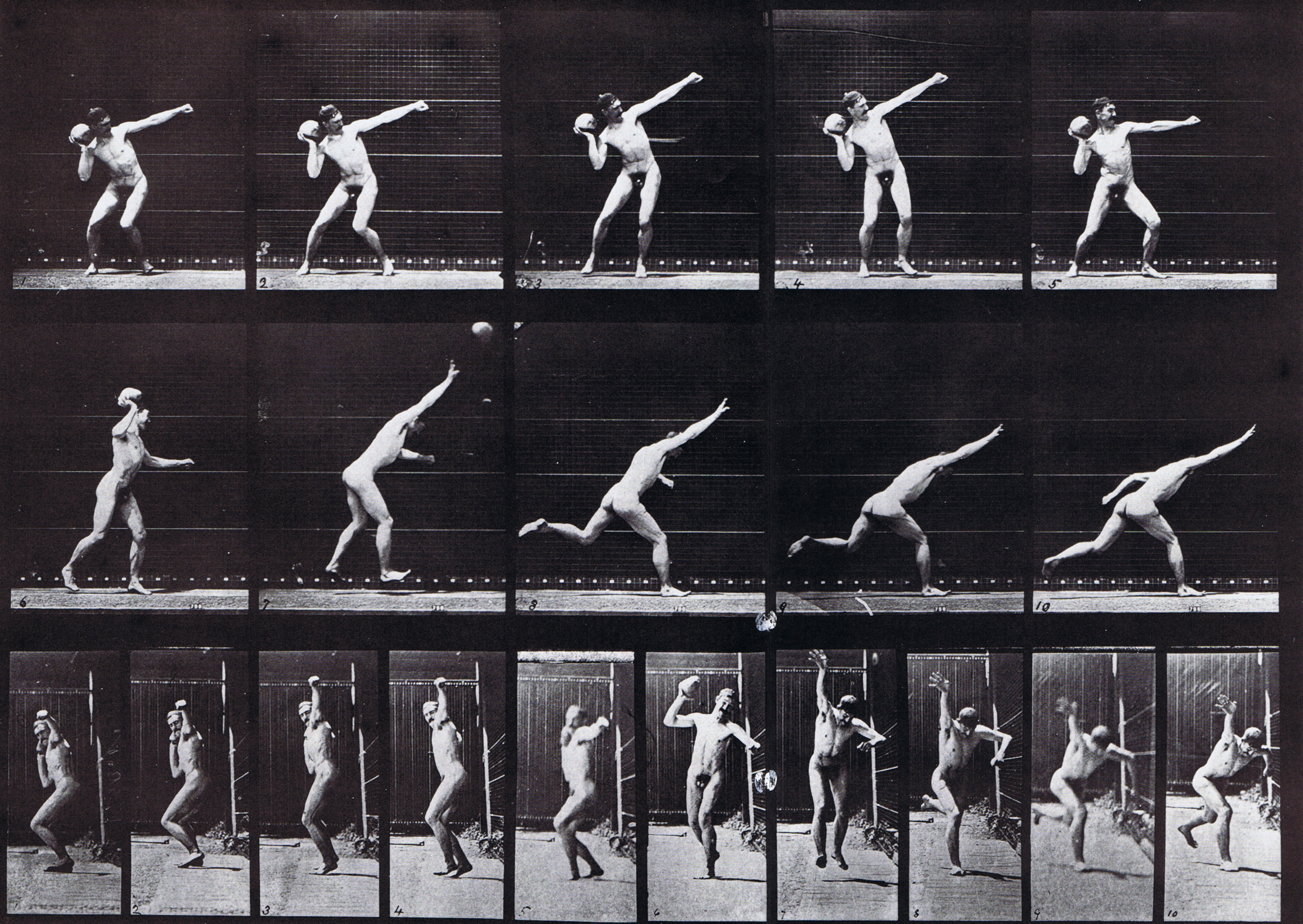 large profile and front views of nude male heaving a 20 pound rock animation reference using muybridge plate 314 from animal locomotion