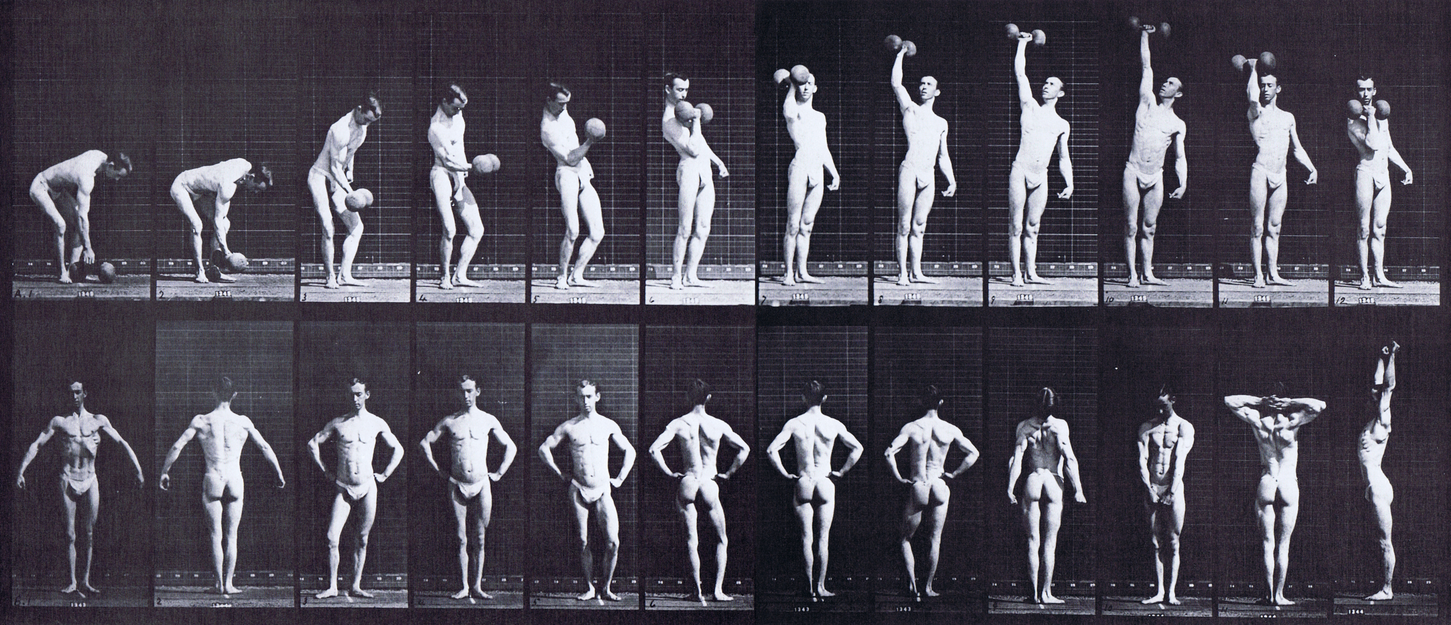large profile view semi nude male wearing underwear lifting a 50 pound dumbbell, and posing animation reference using muybridge plate 321 from animal locomotion