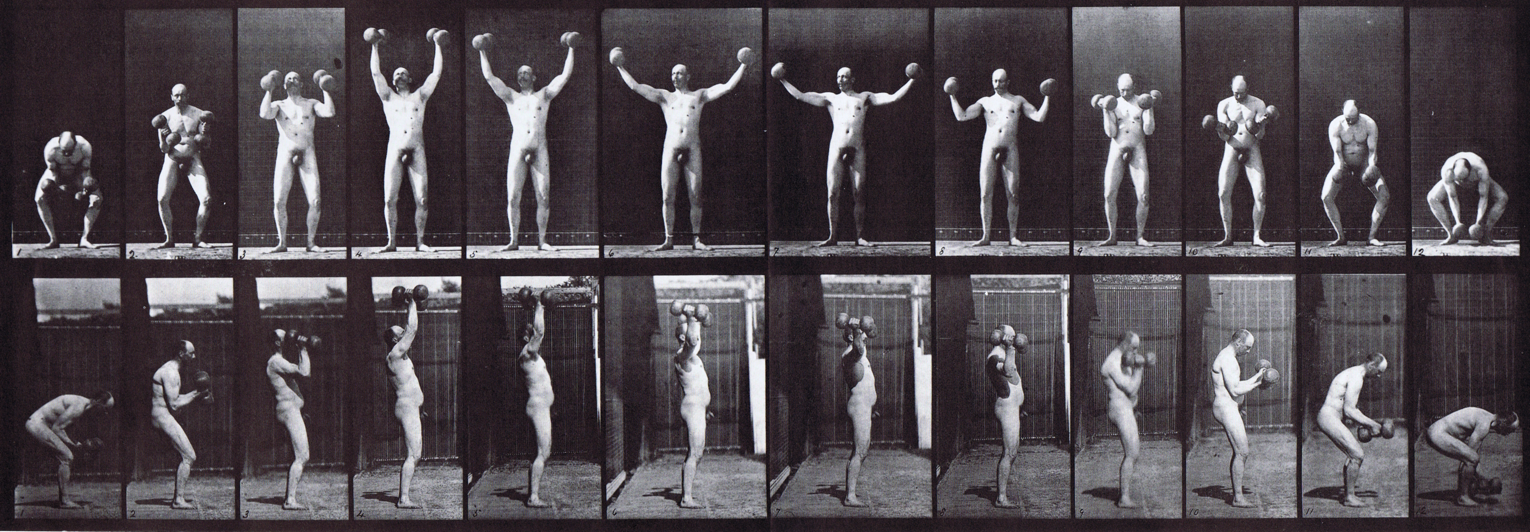 large front and profile views of nude male lifting and holding two 50 pound dumbbells animation reference using muybridge plate 325 from animal locomotion