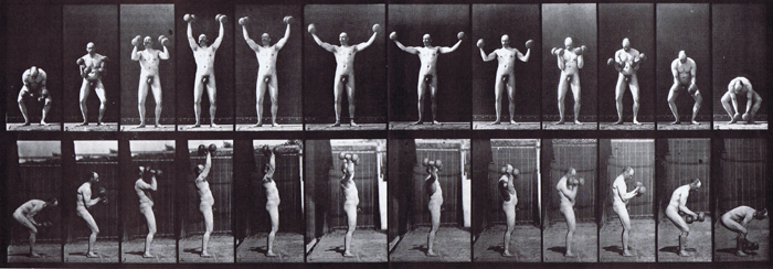 Front and profile views of nude male lifting and holding two 50 pound dumbbells animation reference using muybridge plate 325 from animal locomotion