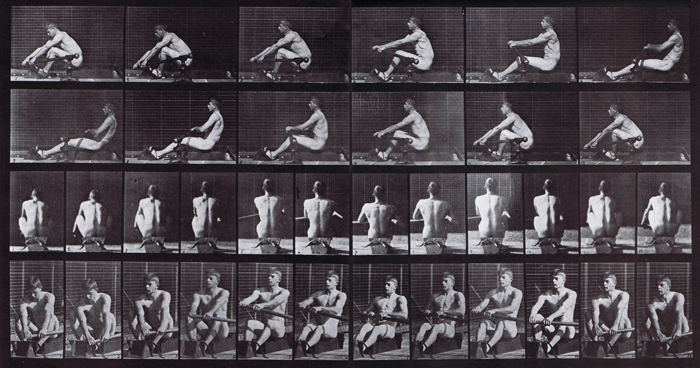 Profile, rear, and front three-quarter views of nude male rowing animation reference using muybridge plate 327 from animal locomotion