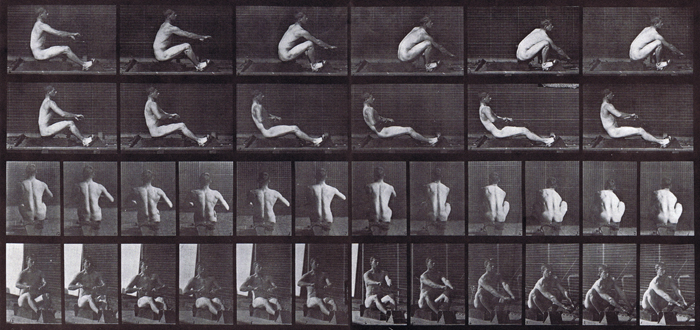 Profile, rear, and front three-quarter views of nude male rowing animation reference using muybridge plate 328 from animal locomotion