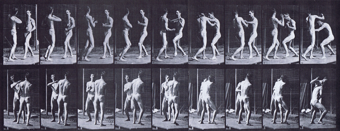 Front three-quarter and rear three-quarter views of two semi nude males wearing underwear boxing, open hand animation reference using muybridge plate 339 from animal locomotion