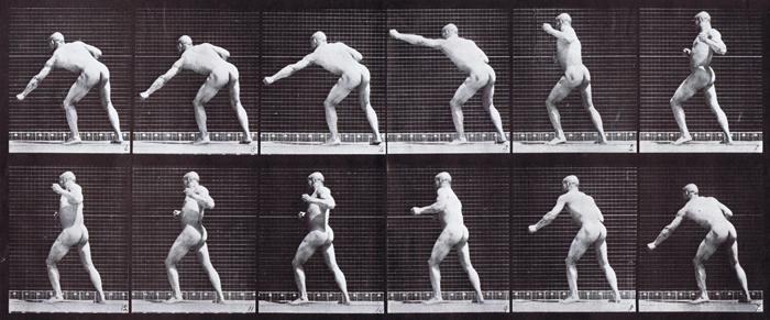 Profile view of nude male striking a blow (punching) with left hand animation reference using muybridge plate 343 from animal locomotion