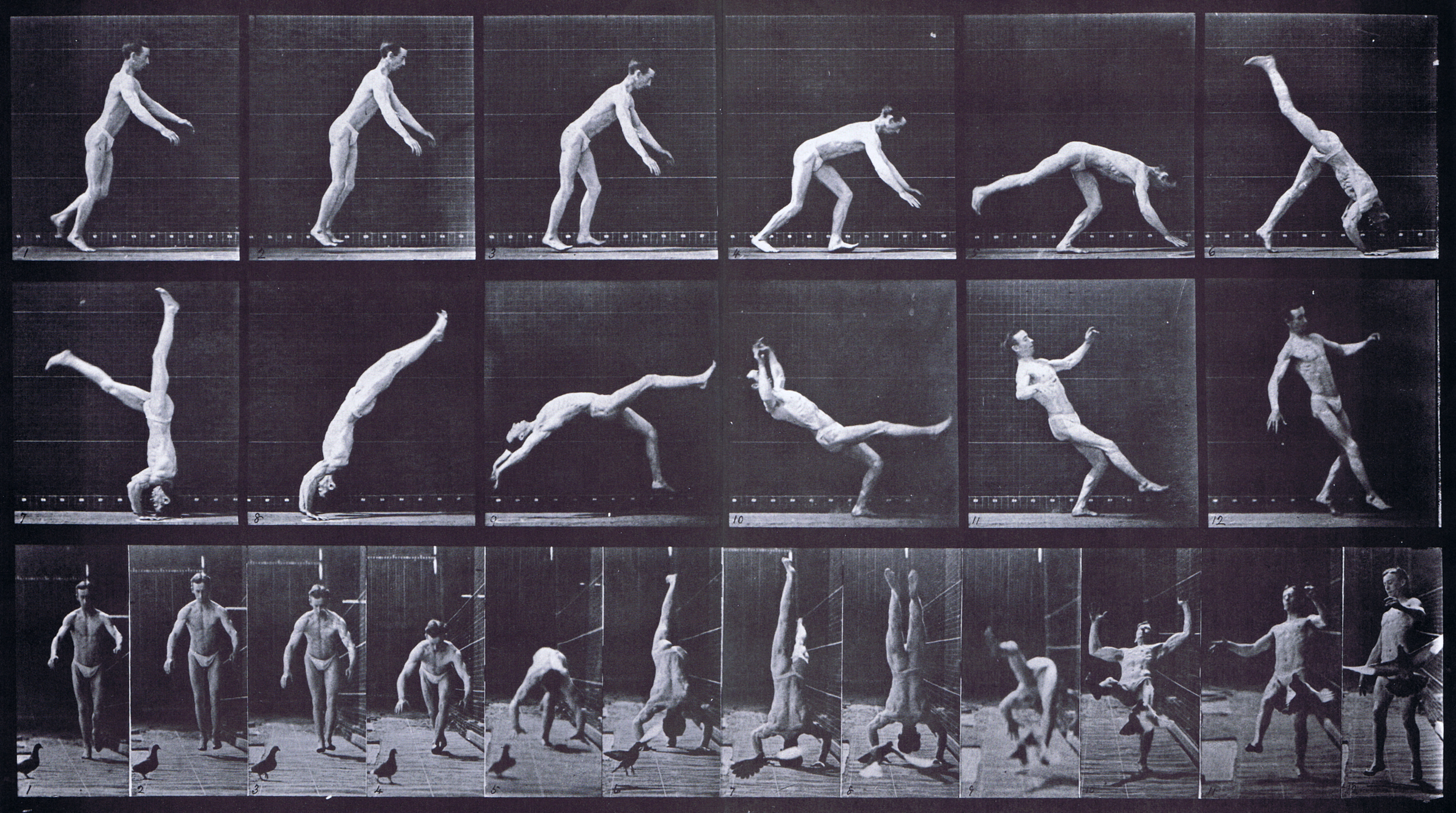 large profile and front views of semi nude male in underwear doing head spring, pigeon interfering animation reference using muybridge plate 365 from animal locomotion