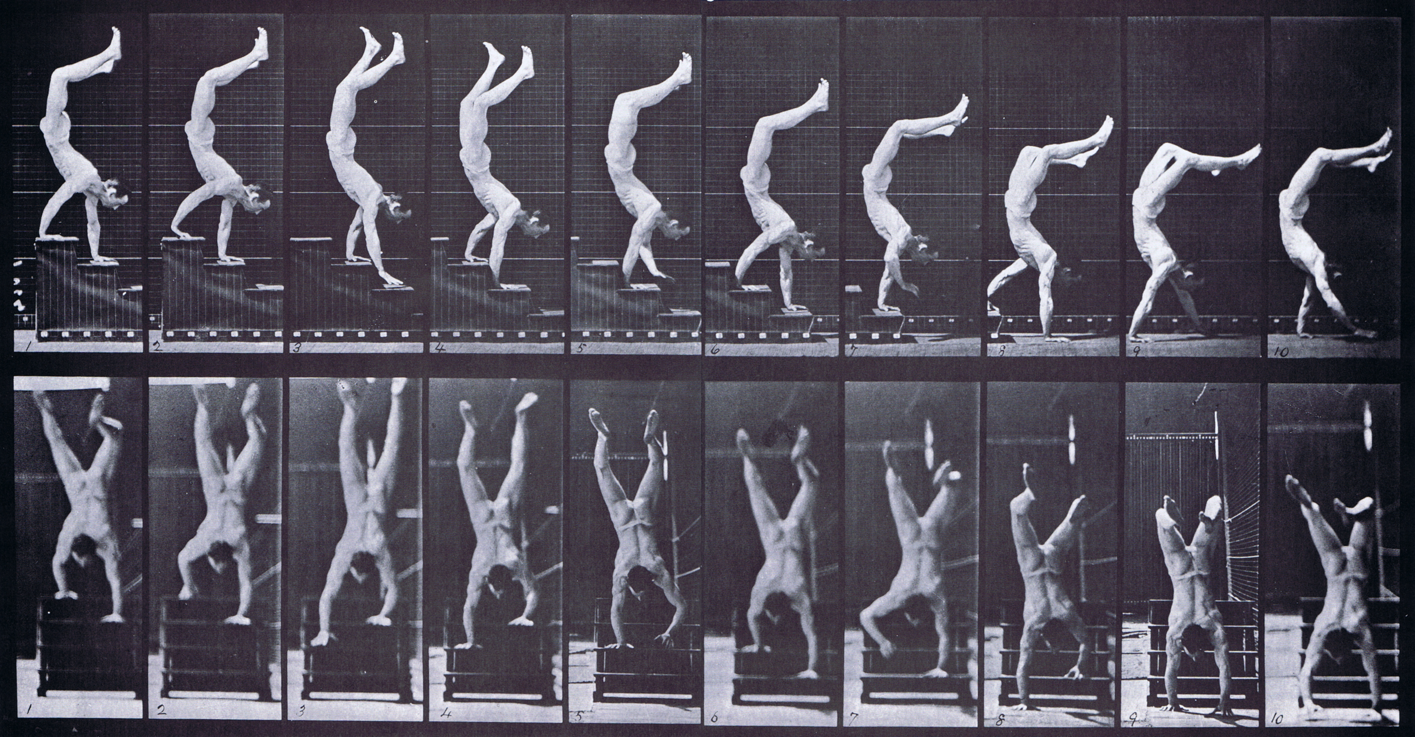 large profile and front views of semi nude male wearing underwear descending stairs on hands animation reference using muybridge plate 368 from animal locomotion