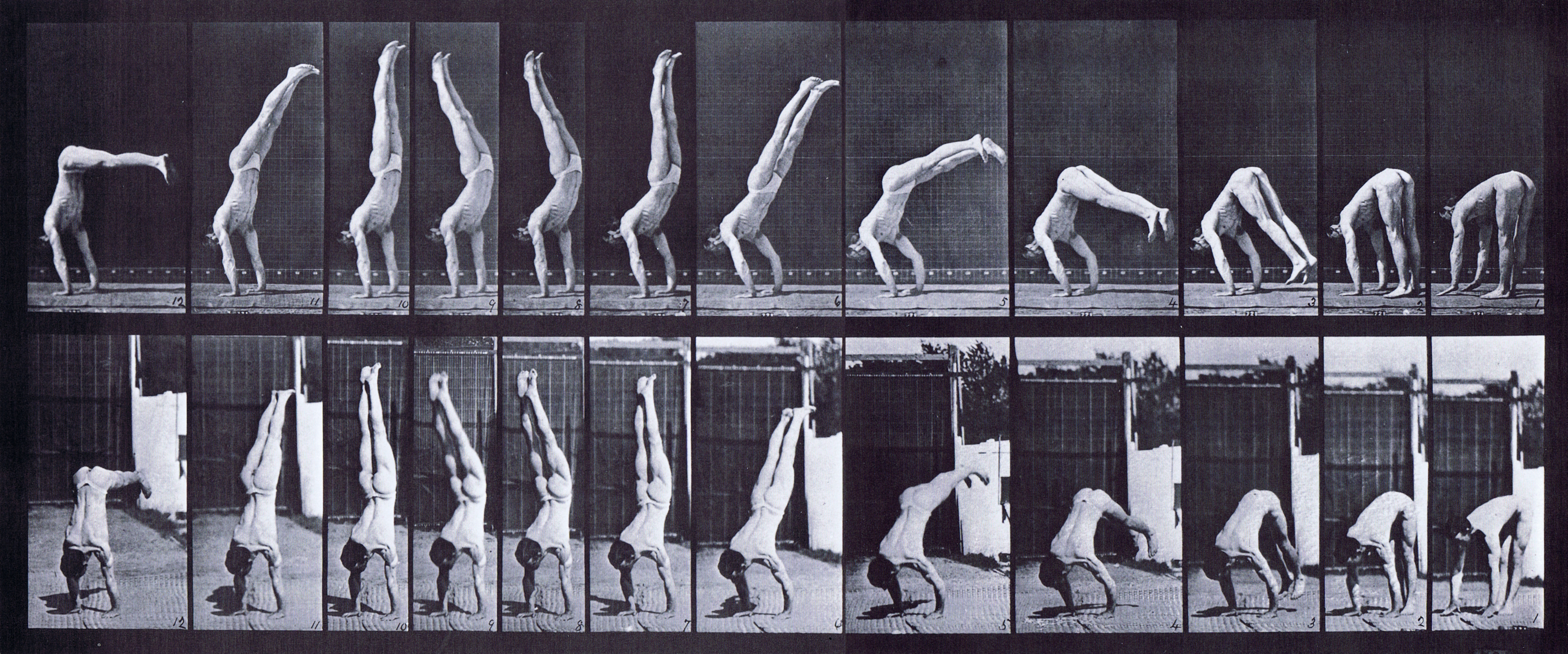 large profile and rear views of semi nude male in underwear on hands doing a vertical press up animation reference using muybridge plate 371 from animal locomotion
