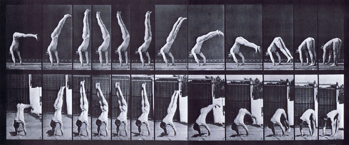Profile and rear views of semi nude male in underwear on hands doing a vertical press up animation reference using muybridge plate 371 from animal locomotion