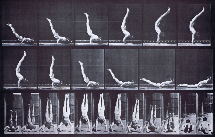 Profile and rear views of semi nude on hands preforming a horizontal press up animation reference using muybridge plate 372 from animal locomotion
