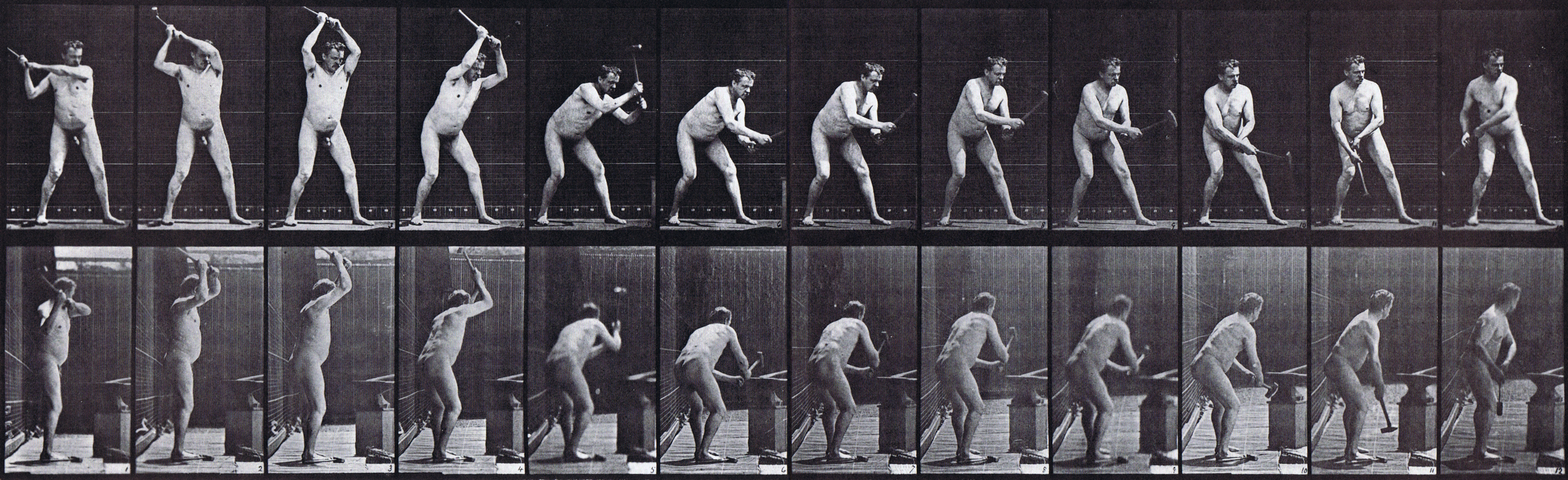 large front and profile views of nude male blacksmith, hammering an anvil with two hands animation reference using muybridge plate 376 from animal locomotion