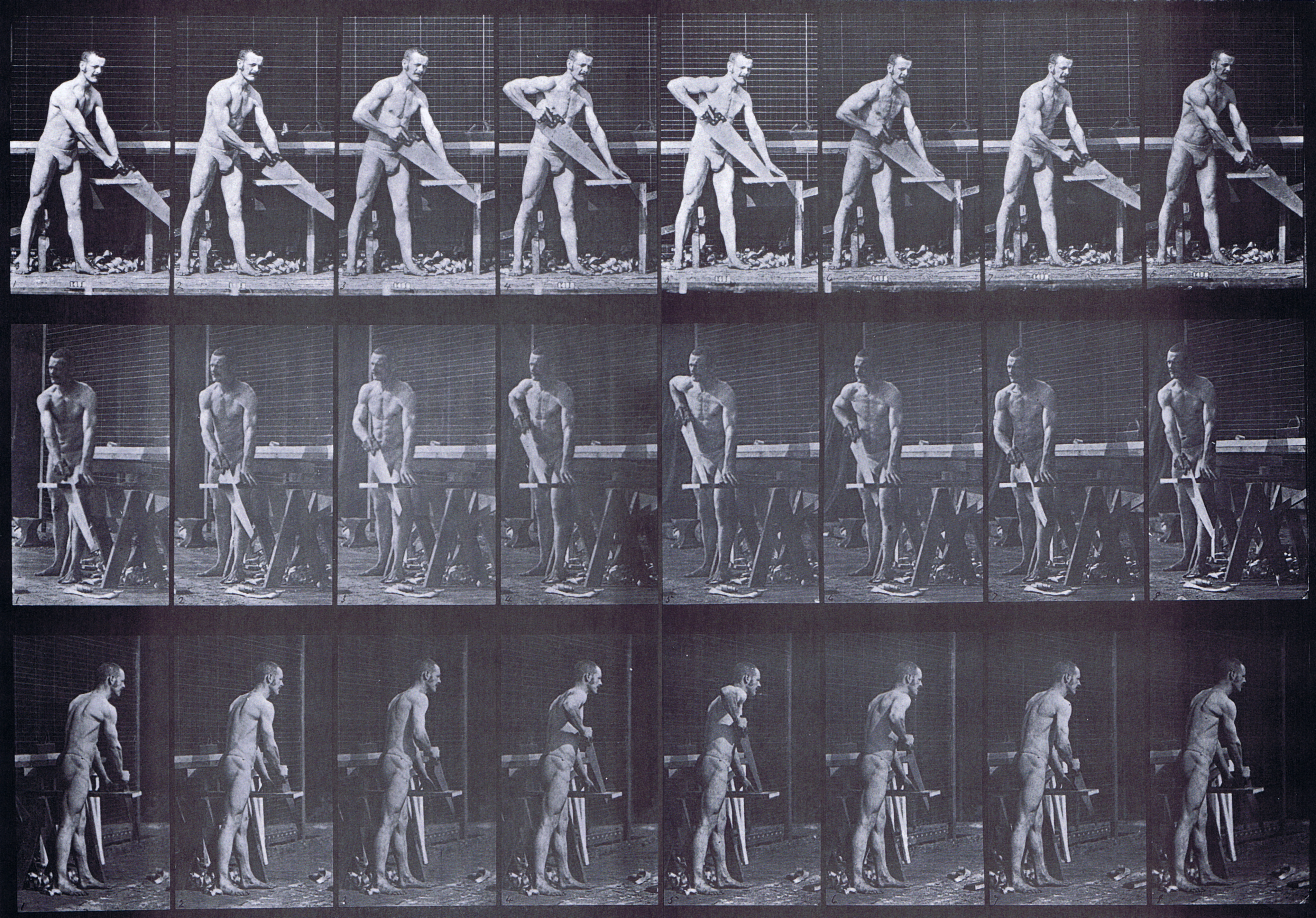 large profile, front three-quarter, and rear three-quarter views of semi nude male carpenter, sawing a board animation reference using muybridge plate 380 from animal locomotion