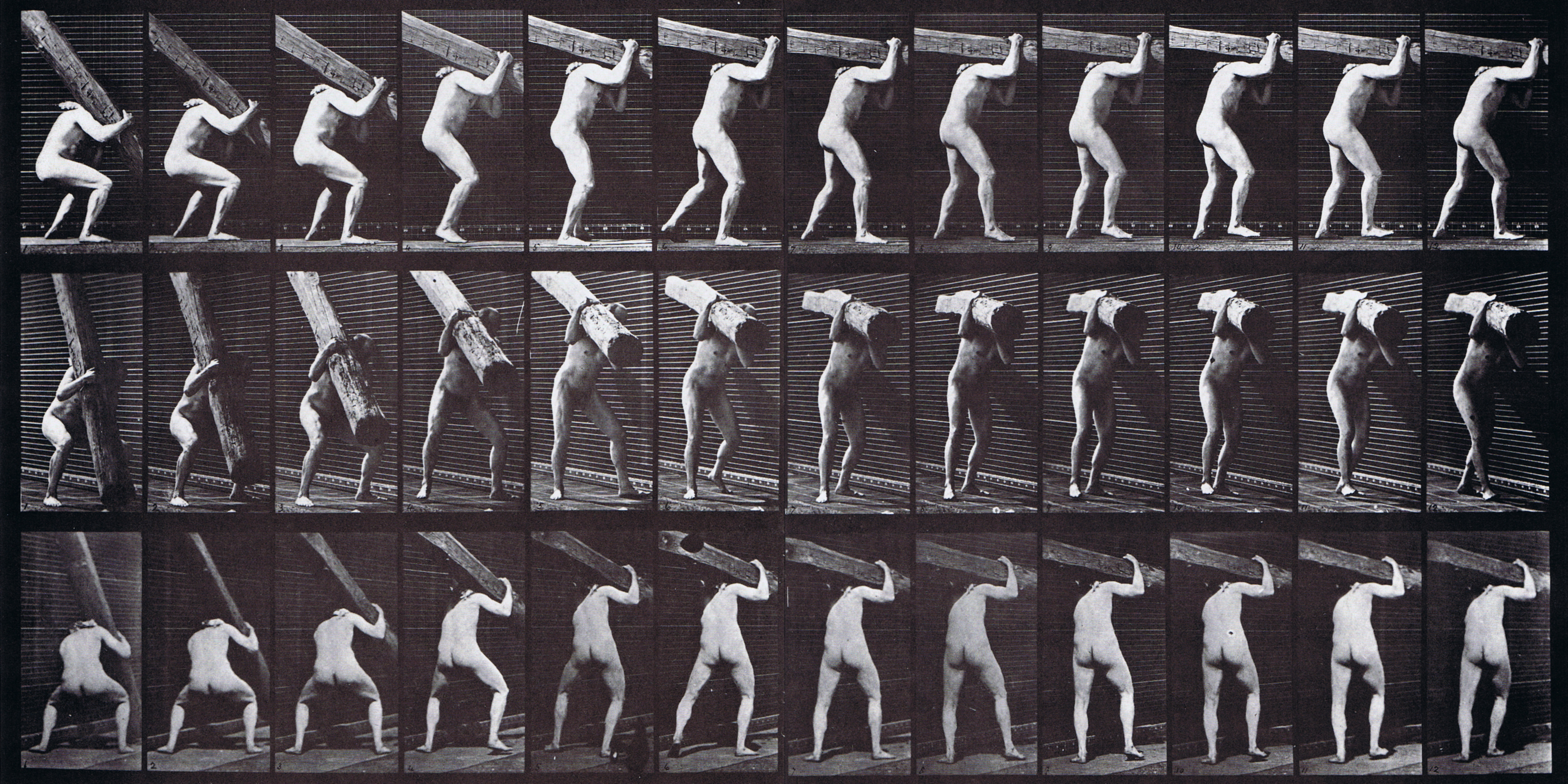 large profile, front three-quarter, and rear three-quarter views of nude male lifting a log on shoulder animation reference using muybridge plate 383 from animal locomotion