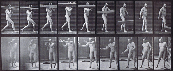 Profile and front views of nude male heaving a log off shoulder animation reference using muybridge plate 384 from animal locomotion