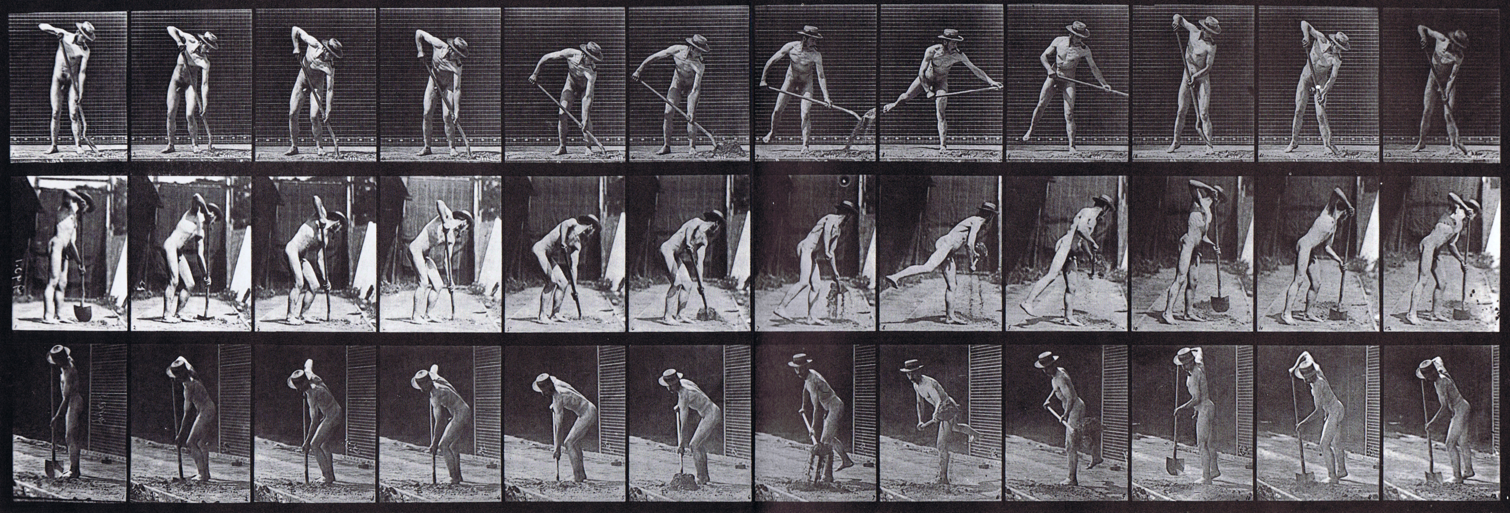 large profile, rear three-quarter, and front three-quarter views of nude male farmer with long handle shoverling animation reference using muybridge plate 387 from animal locomotion