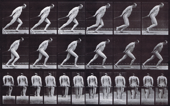 Profile and rear views of nude male farmer dragging and pulling a garden roller animation reference using muybridge plate 392 from animal locomotion