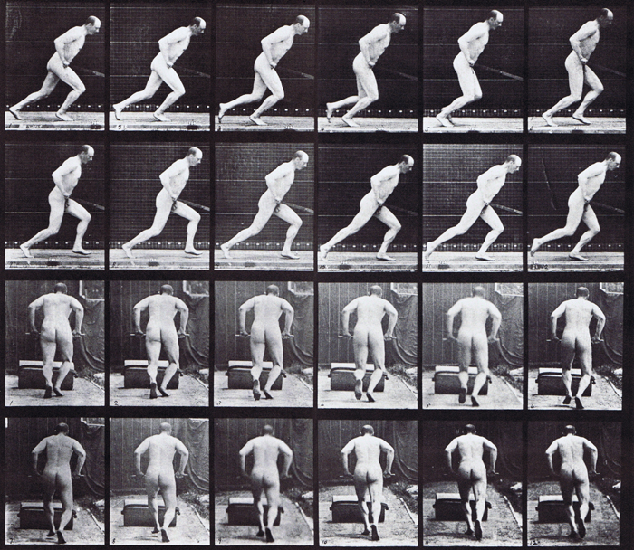 Profile and rear views of nude male farmer pusing a garden roller animation reference using muybridge plate 393 from animal locomotion