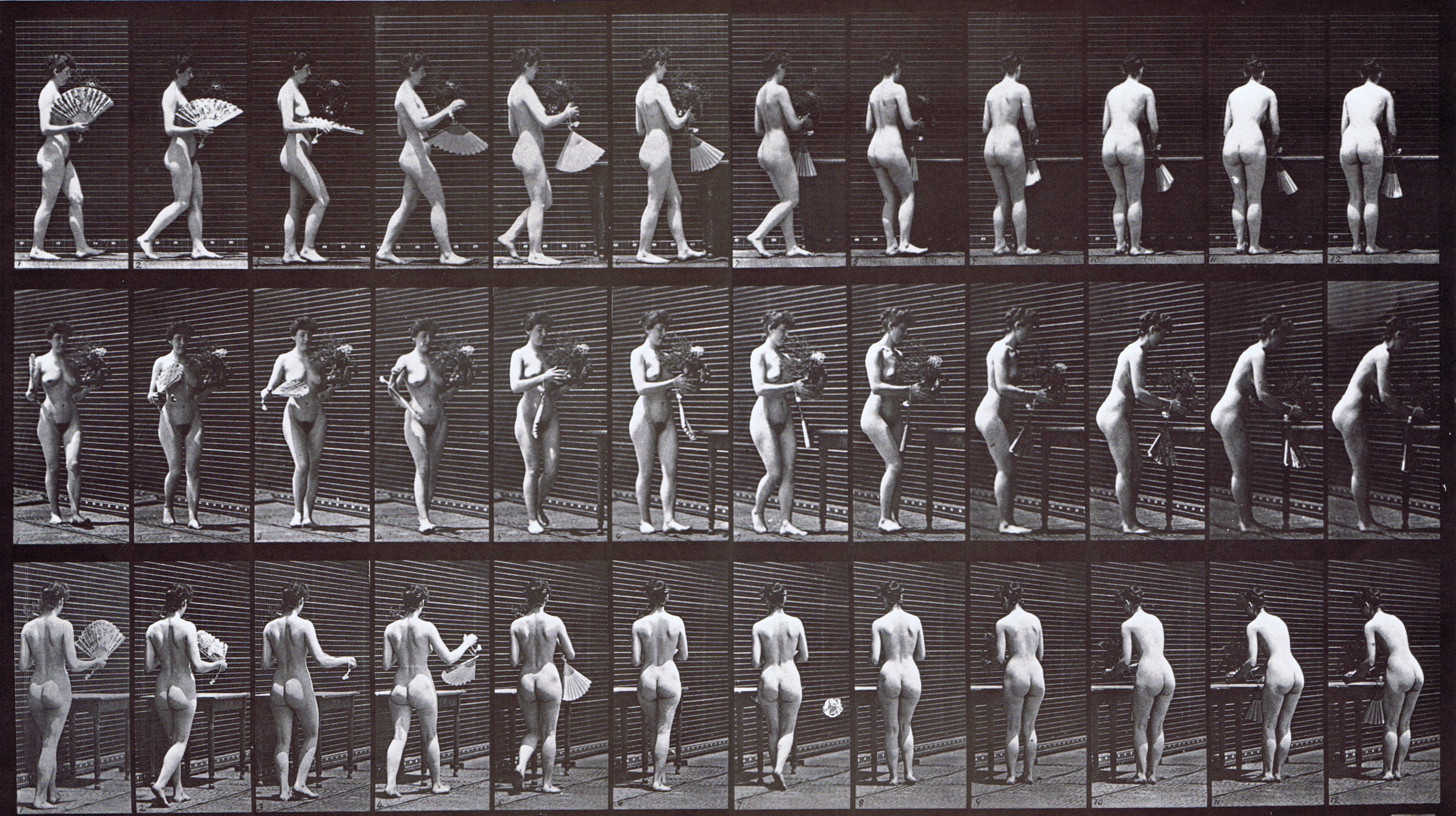large profile, front three-quarter, and rear three-quarter views of nude female carrying a vase then placing it on a table animation reference using muybridge plate 441 from animal locomotion