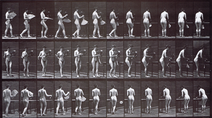 Profile, front three-quarter, and rear three-quarter views of nude female carrying a vase then placing it on a table animation reference using muybridge plate 441 from animal locomotion