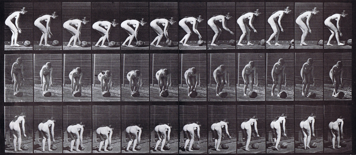 Profile, front three-quarter, and rear three-quarter views of nude female stooping and rolling a stone on the ground animation reference using muybridge plate 442 from animal locomotion