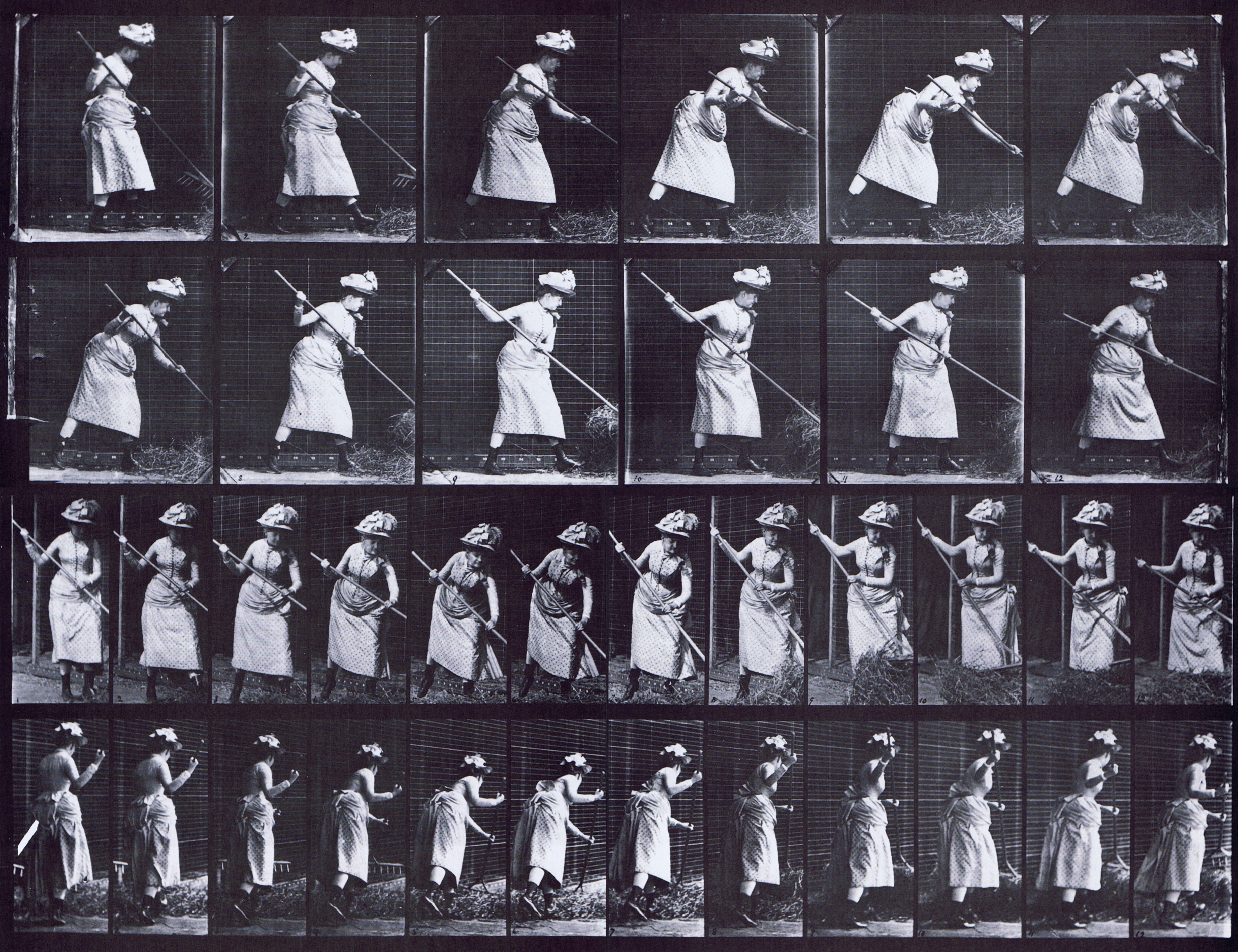 large profile, front three-quarter, and rear three-quarter views of clothed female raking hay animation reference using muybridge plate 456 from animal locomotion